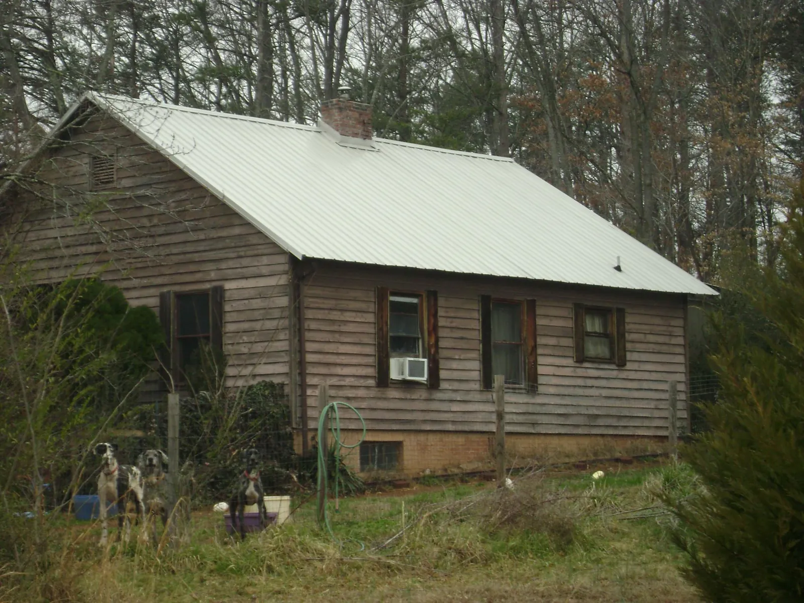 White metal roof on an old wood sided farmhouse, from a Asphalt Shingle Roof Repair job in Patchogue